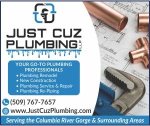 Just Cuz Plumbing LLP